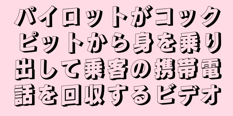 パイロットがコックピットから身を乗り出して乗客の携帯電話を回収するビデオ