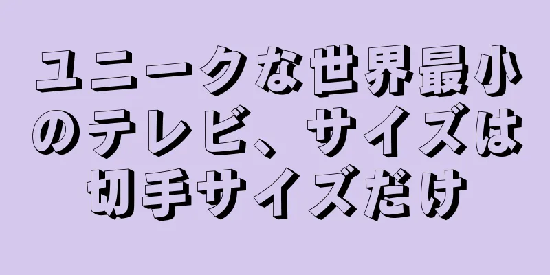 ユニークな世界最小のテレビ、サイズは切手サイズだけ