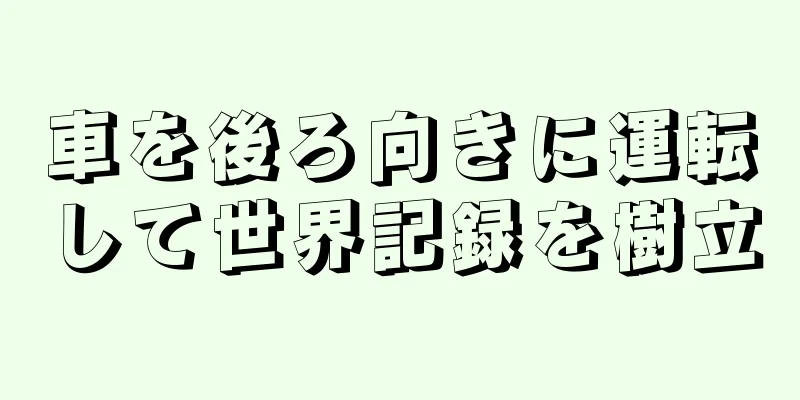 車を後ろ向きに運転して世界記録を樹立