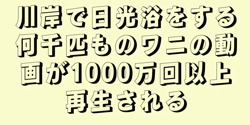 川岸で日光浴をする何千匹ものワニの動画が1000万回以上再生される