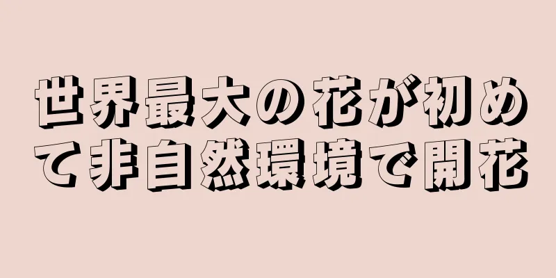 世界最大の花が初めて非自然環境で開花