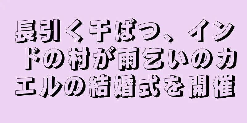 長引く干ばつ、インドの村が雨乞いのカエルの結婚式を開催
