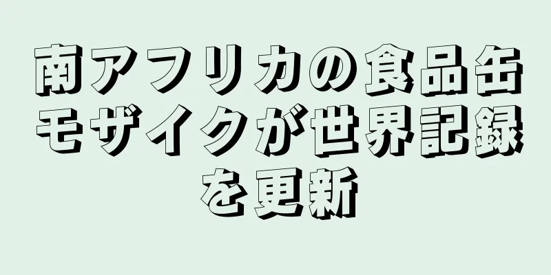 南アフリカの食品缶モザイクが世界記録を更新
