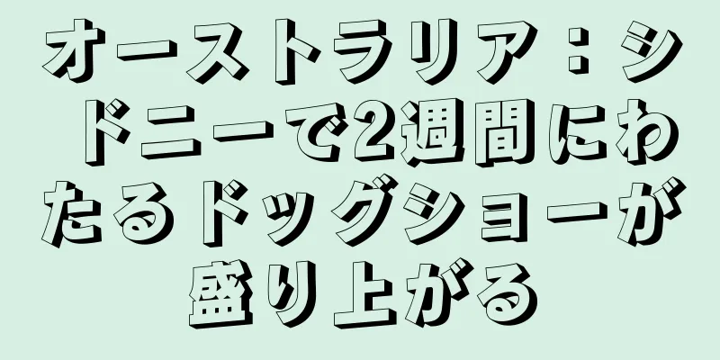 オーストラリア：シドニーで2週間にわたるドッグショーが盛り上がる