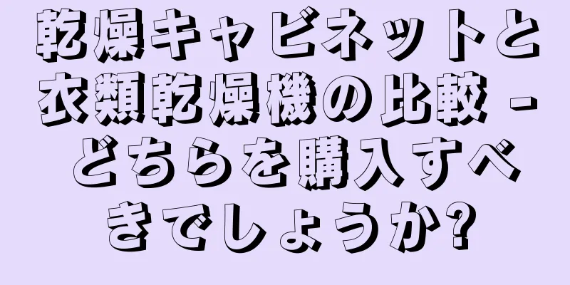 乾燥キャビネットと衣類乾燥機の比較 - どちらを購入すべきでしょうか?