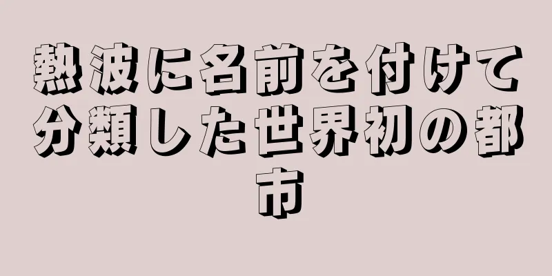 熱波に名前を付けて分類した世界初の都市