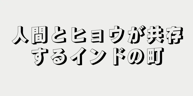 人間とヒョウが共存するインドの町
