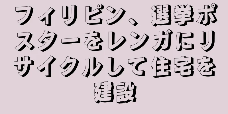 フィリピン、選挙ポスターをレンガにリサイクルして住宅を建設