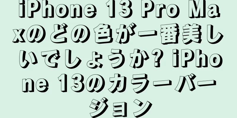 iPhone 13 Pro Maxのどの色が一番美しいでしょうか? iPhone 13のカラーバージョン