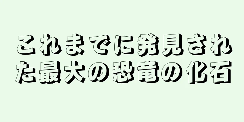 これまでに発見された最大の恐竜の化石