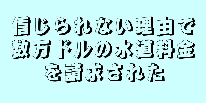 信じられない理由で数万ドルの水道料金を請求された