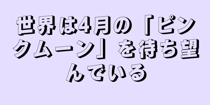 世界は4月の「ピンクムーン」を待ち望んでいる