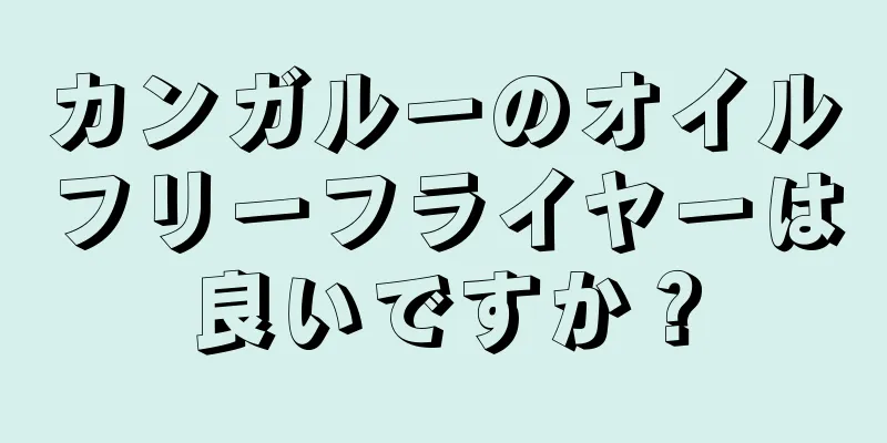 カンガルーのオイルフリーフライヤーは良いですか？