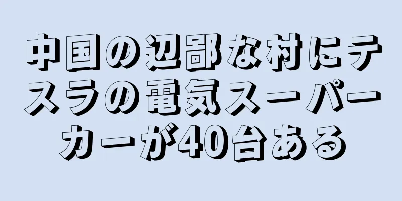 中国の辺鄙な村にテスラの電気スーパーカーが40台ある