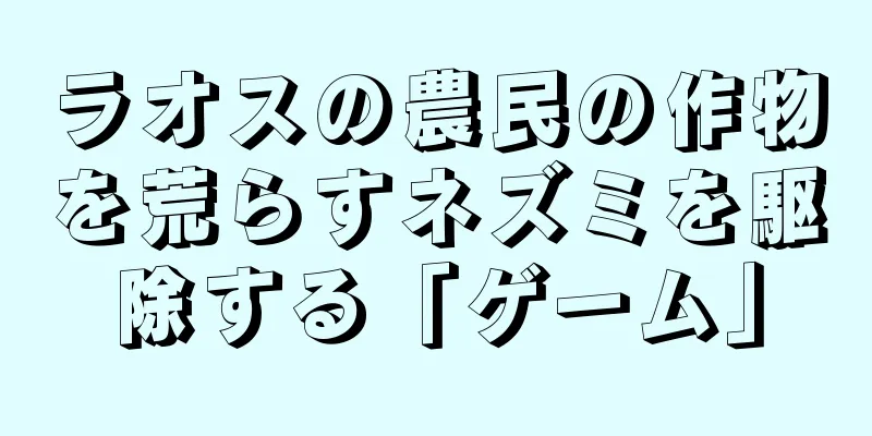 ラオスの農民の作物を荒らすネズミを駆除する「ゲーム」