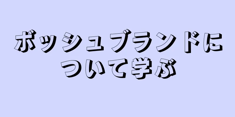 ボッシュブランドについて学ぶ