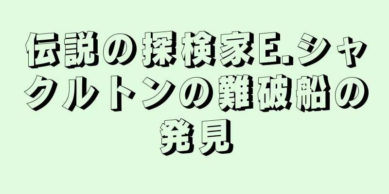 伝説の探検家E.シャクルトンの難破船の発見