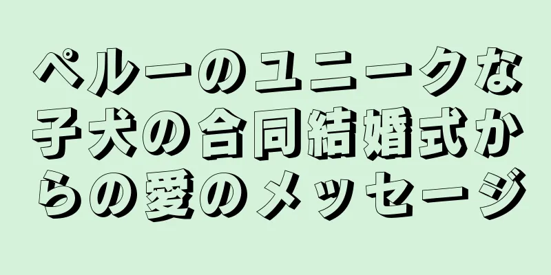 ペルーのユニークな子犬の合同結婚式からの愛のメッセージ