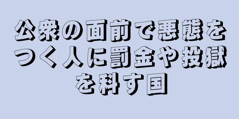 公衆の面前で悪態をつく人に罰金や投獄を科す国