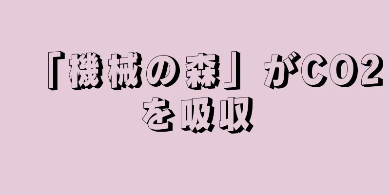 「機械の森」がCO2を吸収