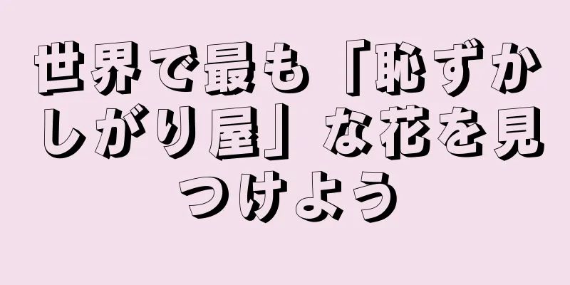 世界で最も「恥ずかしがり屋」な花を見つけよう