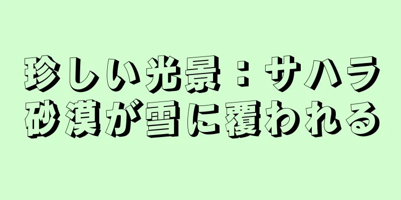 珍しい光景：サハラ砂漠が雪に覆われる