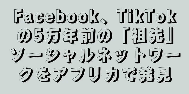 Facebook、TikTokの5万年前の「祖先」ソーシャルネットワークをアフリカで発見