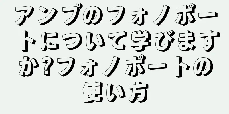 アンプのフォノポートについて学びますか?フォノポートの使い方