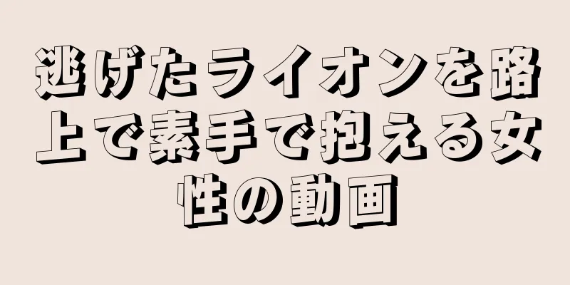 逃げたライオンを路上で素手で抱える女性の動画