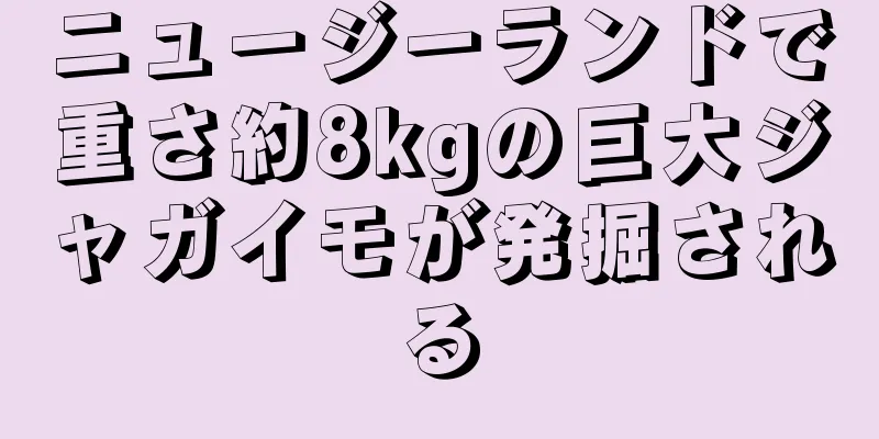 ニュージーランドで重さ約8kgの巨大ジャガイモが発掘される