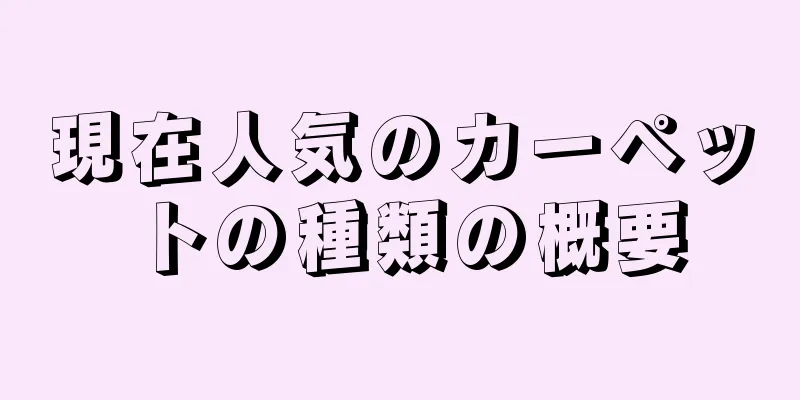 現在人気のカーペットの種類の概要