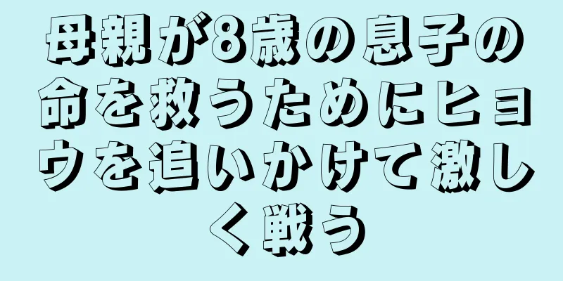 母親が8歳の息子の命を救うためにヒョウを追いかけて激しく戦う