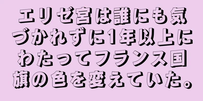 エリゼ宮は誰にも気づかれずに1年以上にわたってフランス国旗の色を変えていた。