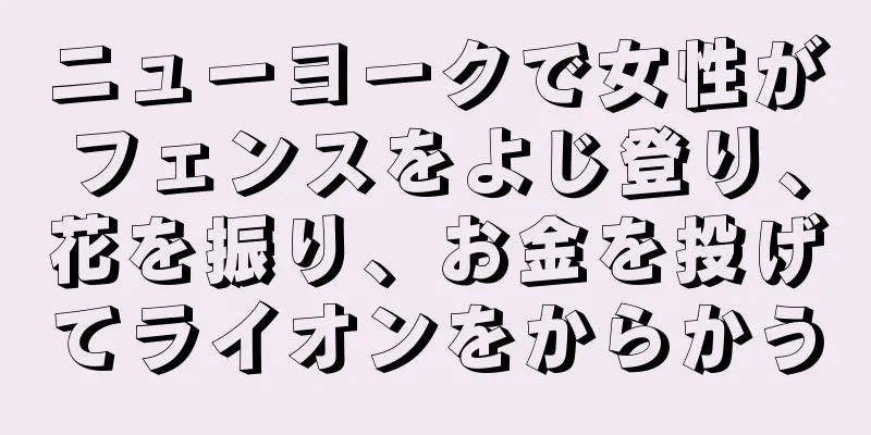 ニューヨークで女性がフェンスをよじ登り、花を振り、お金を投げてライオンをからかう