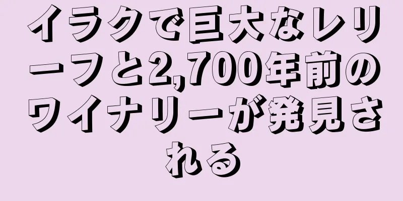イラクで巨大なレリーフと2,700年前のワイナリーが発見される