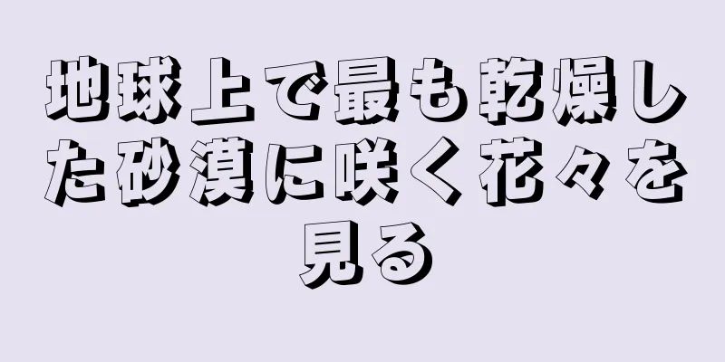 地球上で最も乾燥した砂漠に咲く花々を見る
