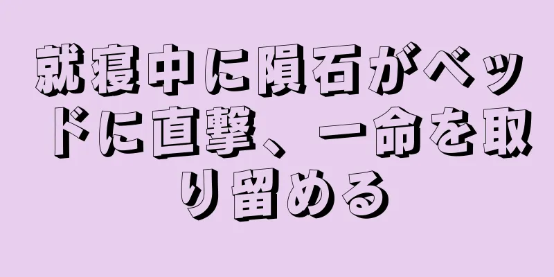 就寝中に隕石がベッドに直撃、一命を取り留める