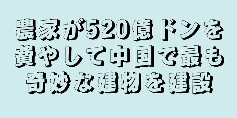 農家が520億ドンを費やして中国で最も奇妙な建物を建設