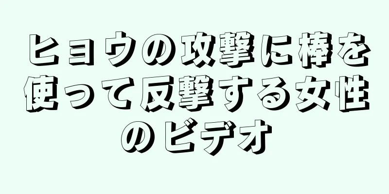ヒョウの攻撃に棒を使って反撃する女性のビデオ
