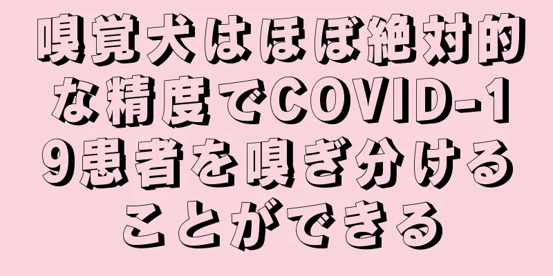 嗅覚犬はほぼ絶対的な精度でCOVID-19患者を嗅ぎ分けることができる