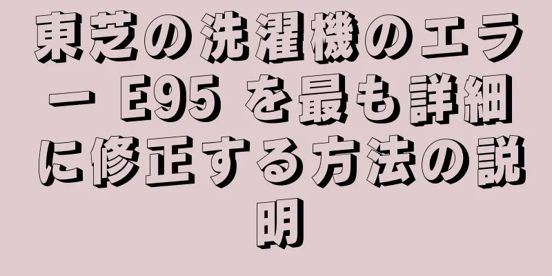 東芝の洗濯機のエラー E95 を最も詳細に修正する方法の説明