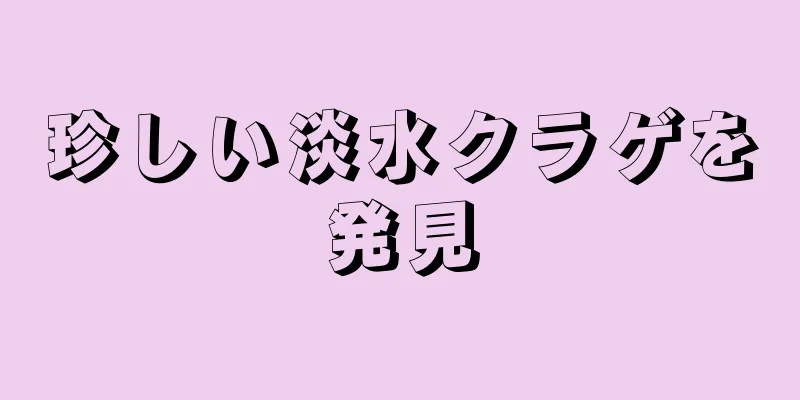珍しい淡水クラゲを発見