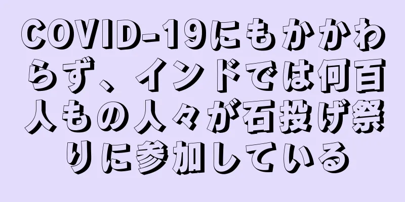 COVID-19にもかかわらず、インドでは何百人もの人々が石投げ祭りに参加している