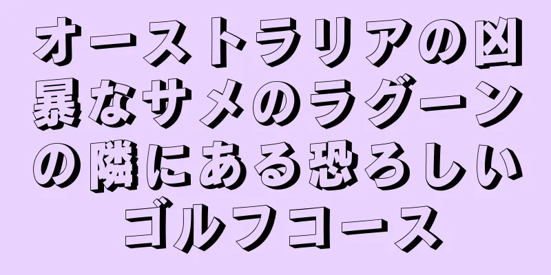 オーストラリアの凶暴なサメのラグーンの隣にある恐ろしいゴルフコース