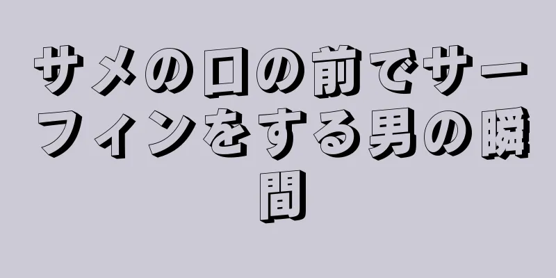 サメの口の前でサーフィンをする男の瞬間