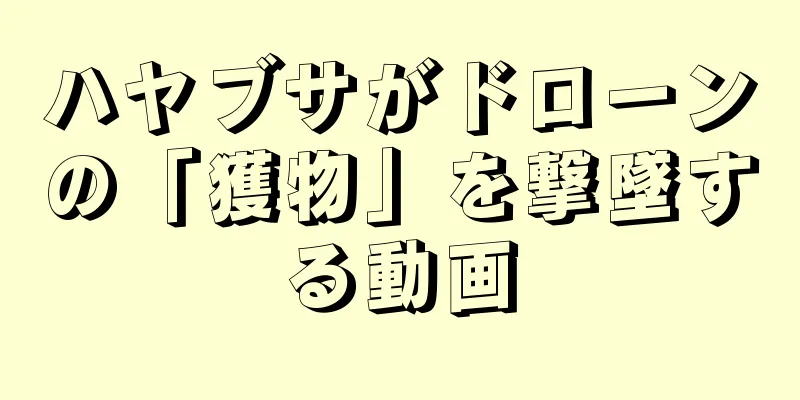 ハヤブサがドローンの「獲物」を撃墜する動画