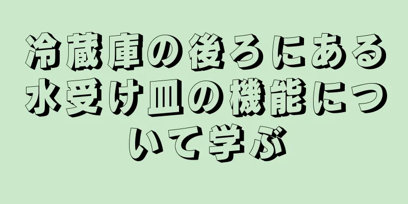 冷蔵庫の後ろにある水受け皿の機能について学ぶ