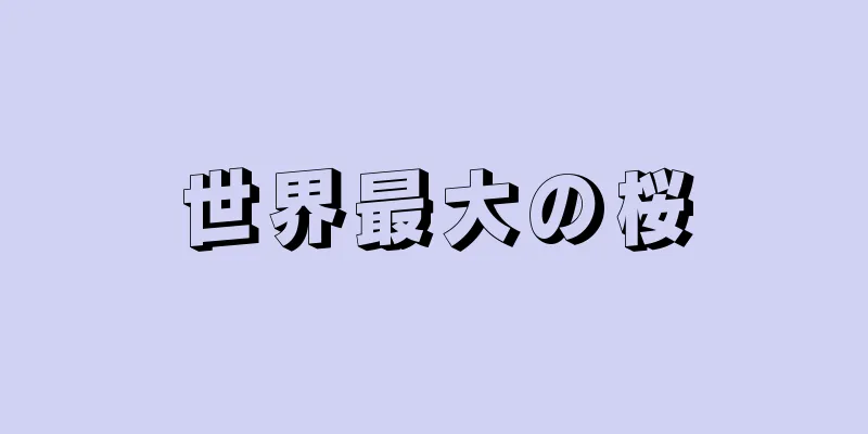 世界最大の桜