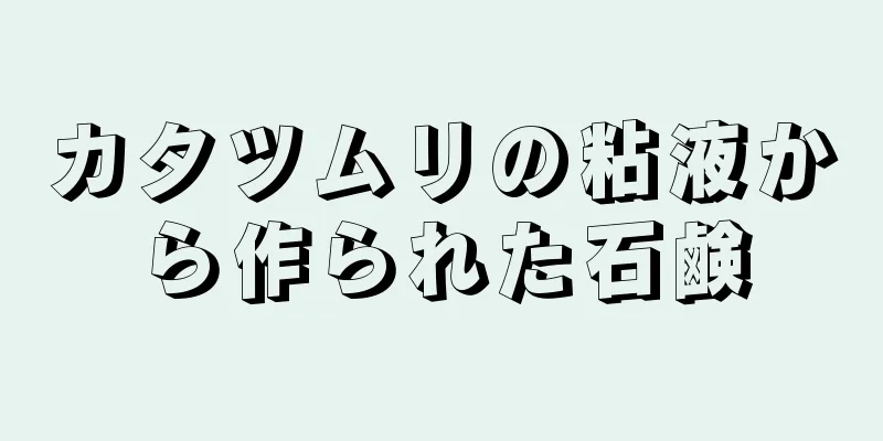カタツムリの粘液から作られた石鹸