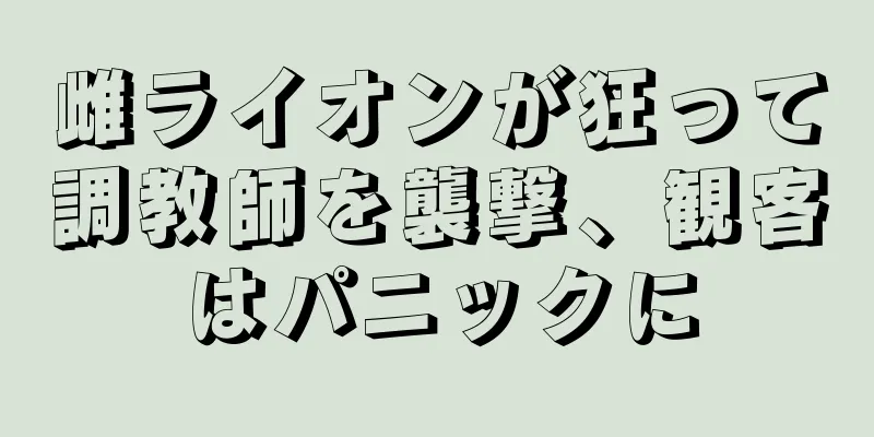 雌ライオンが狂って調教師を襲撃、観客はパニックに